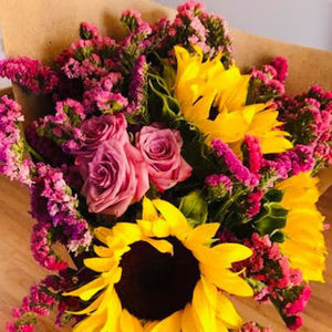 Meet your Posher, Jacqueline